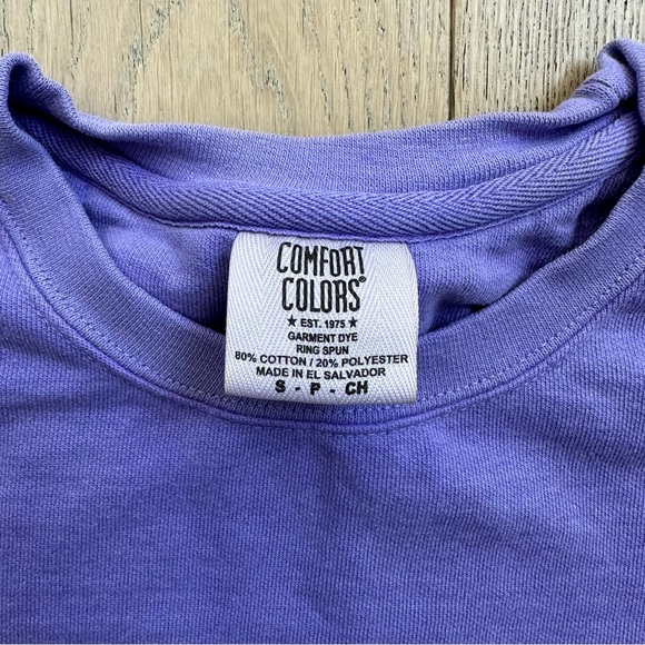 🆕 Taylor Swift Inspired Long Live Purple Crewneck with Disneyland Castle - Picture 5 of 7